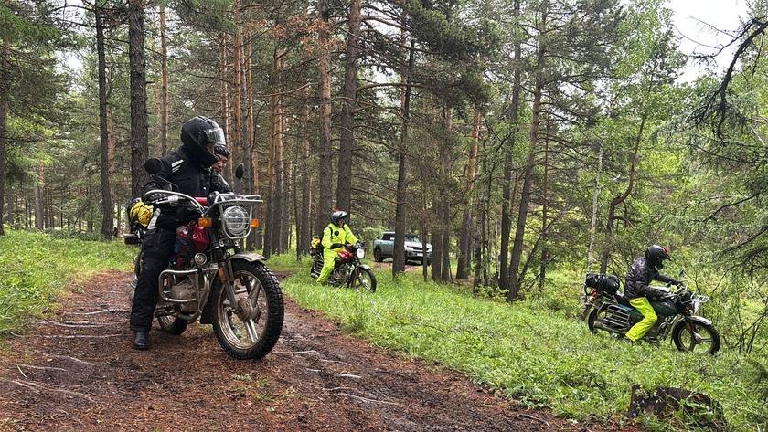 Riders on motorcycles on a forest trail