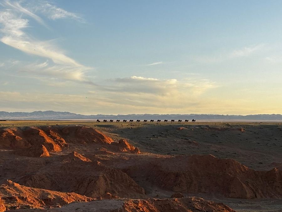 Camel caravan crossing the Gobi Desert at sunset